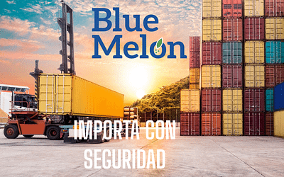 ¿Se puede importar sin intermediarios?